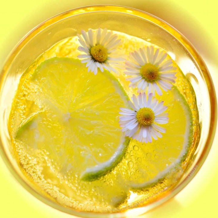 citrus close up flowers fruit