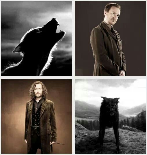 Remus and Sirius