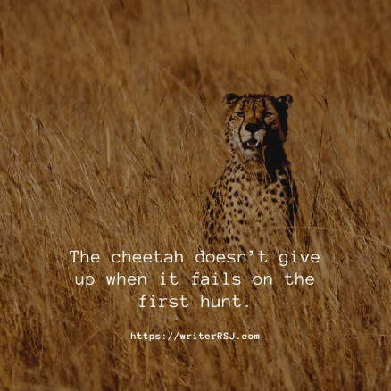 The cheetah doesn’t give up when it fails on the first hunt.