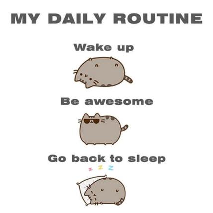Daily routine